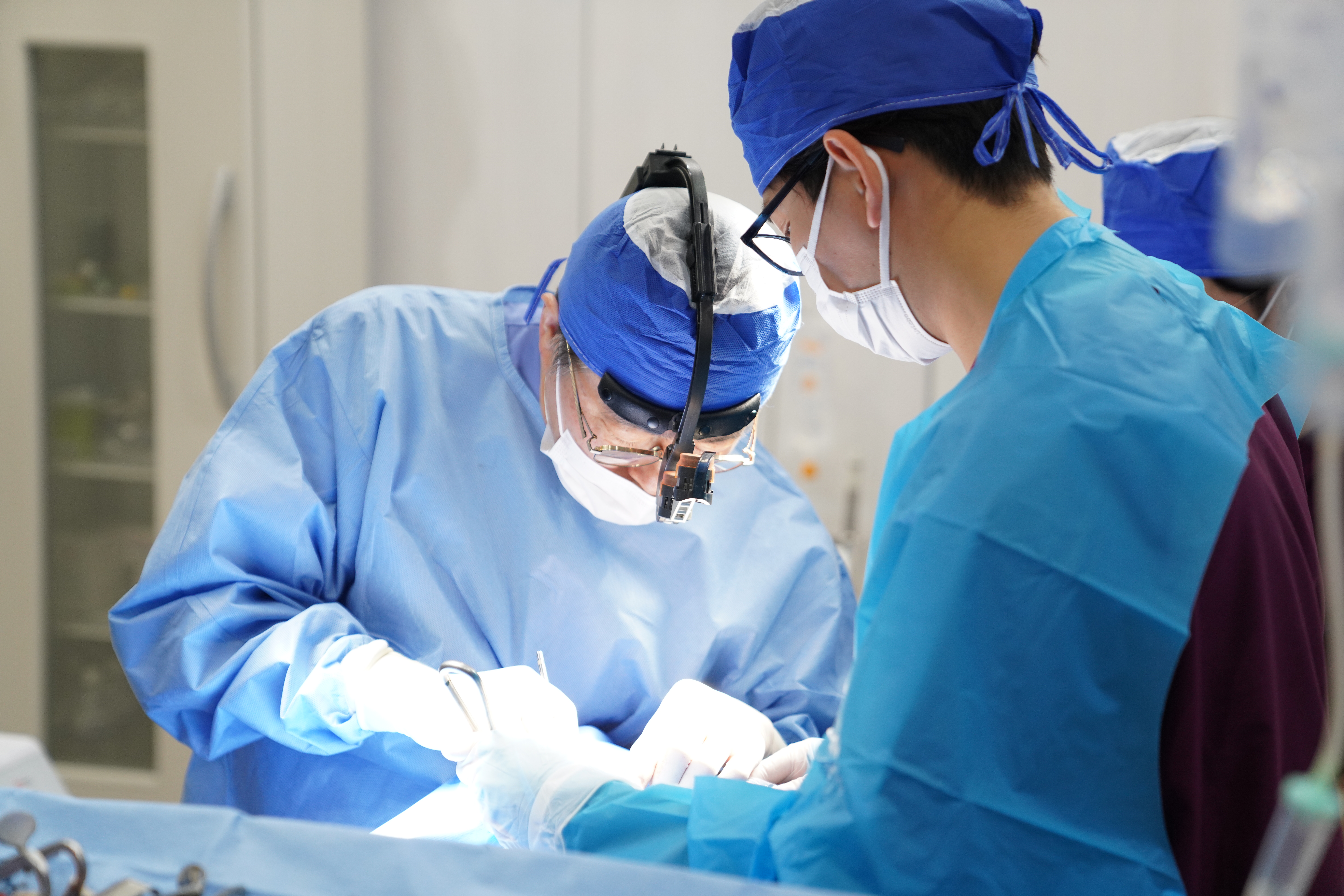 【2025年版】埼玉県エリアの歯科医師求人動向。今、選ぶべきは「教育型」か「高給型」か？